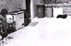 View this image larger